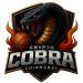 Crypto Cobra Chiangrai