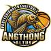 Angthong Altus