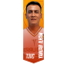 Yanuar ILHAM