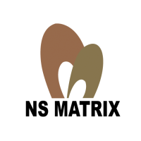 NS Matrix
