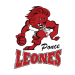 team logo