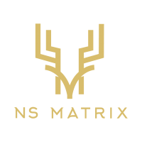 NS Matrix