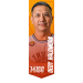 Dedy HALOMOAN