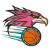 Manly Wheel Eagles
