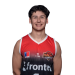 Sarpi Montes, Agustin