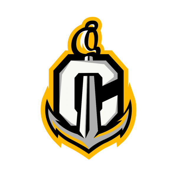 team logo