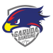 GARUDA INFINITY