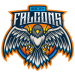 Rocky Falcons