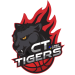 CT Tiger