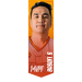 Basofi SIMANJUNTAK