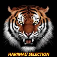 Harimau Selection