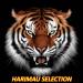Harimau Selection