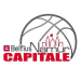 Basket Namur Capitale