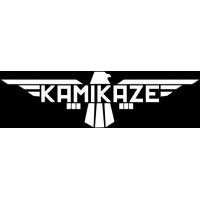 UNIVERSITAS DARMA PERSADA