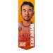 Teguh BUDIMAN