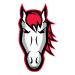 Leicester Riders