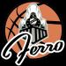 FERRO CARRIL
