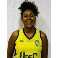 Yenicel R. Vivanco Torres