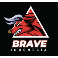 BRAVE BASKETBALL ACADEMY